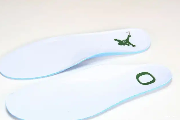 HYPE Retro Ducks 257-255275 Jordan Duckman 4 Oregon 0604